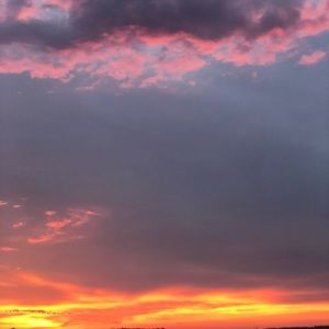 Meet your Posher, Maureen